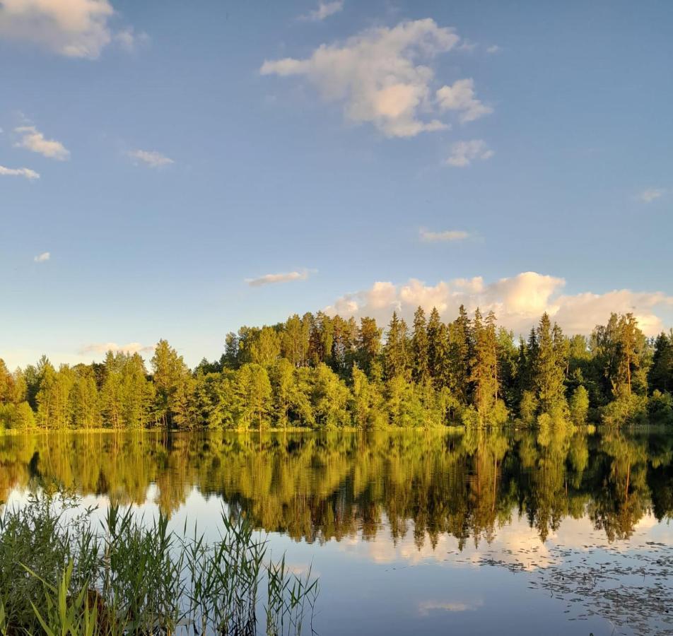 Forest Lake Villa Kscava Exteriör bild